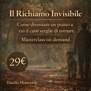 Masterclass Video - Il Richiamo Invisibile  - Come diventare un punto a cui il cane sceglie di tornare