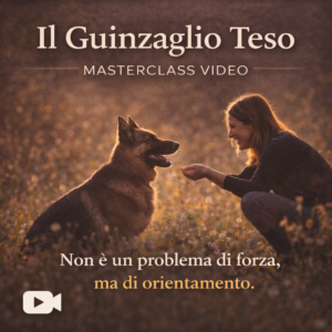 Masterclass Video - Il Guinzaglio Teso