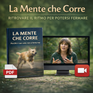 La Mente che Corre – Ritrovare il Ritmo per Potersi Fermare  - Guida PDF + Masterclass video