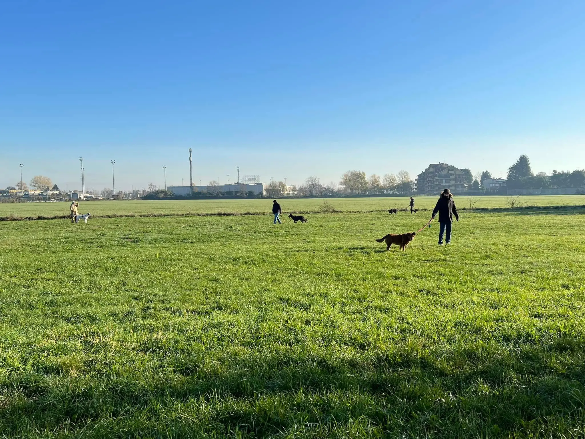 Evento in presenza con cani