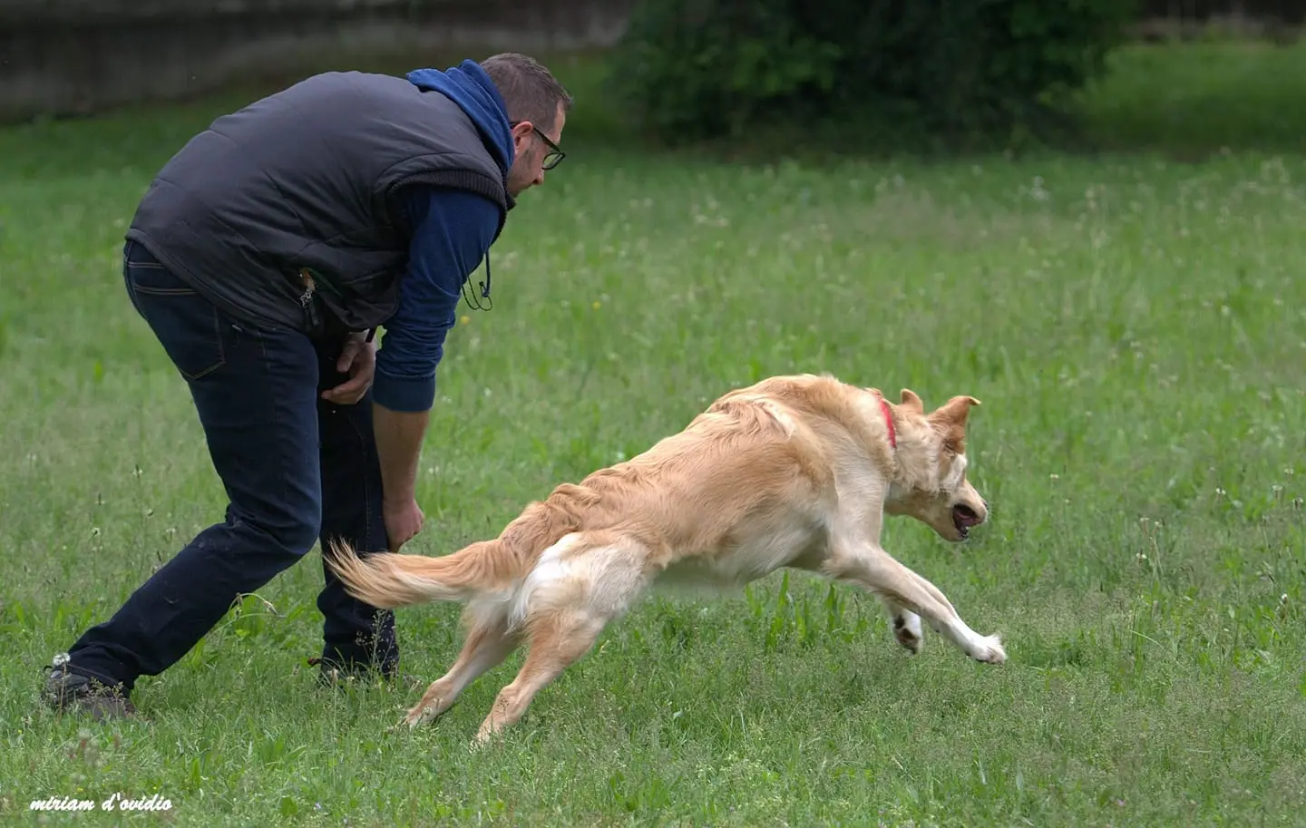 SintoniaCane – scopri il profilo della tua relazione