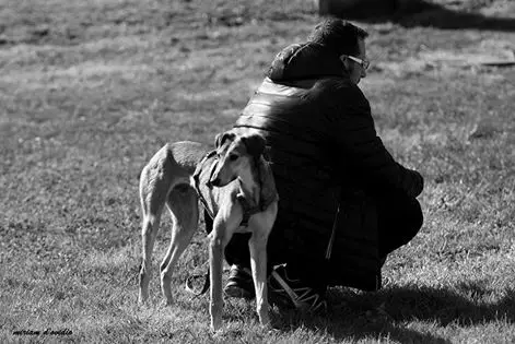 Danilo Monverde in presenza con un cane