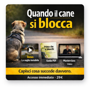 Quando il cane si blocca - VIP