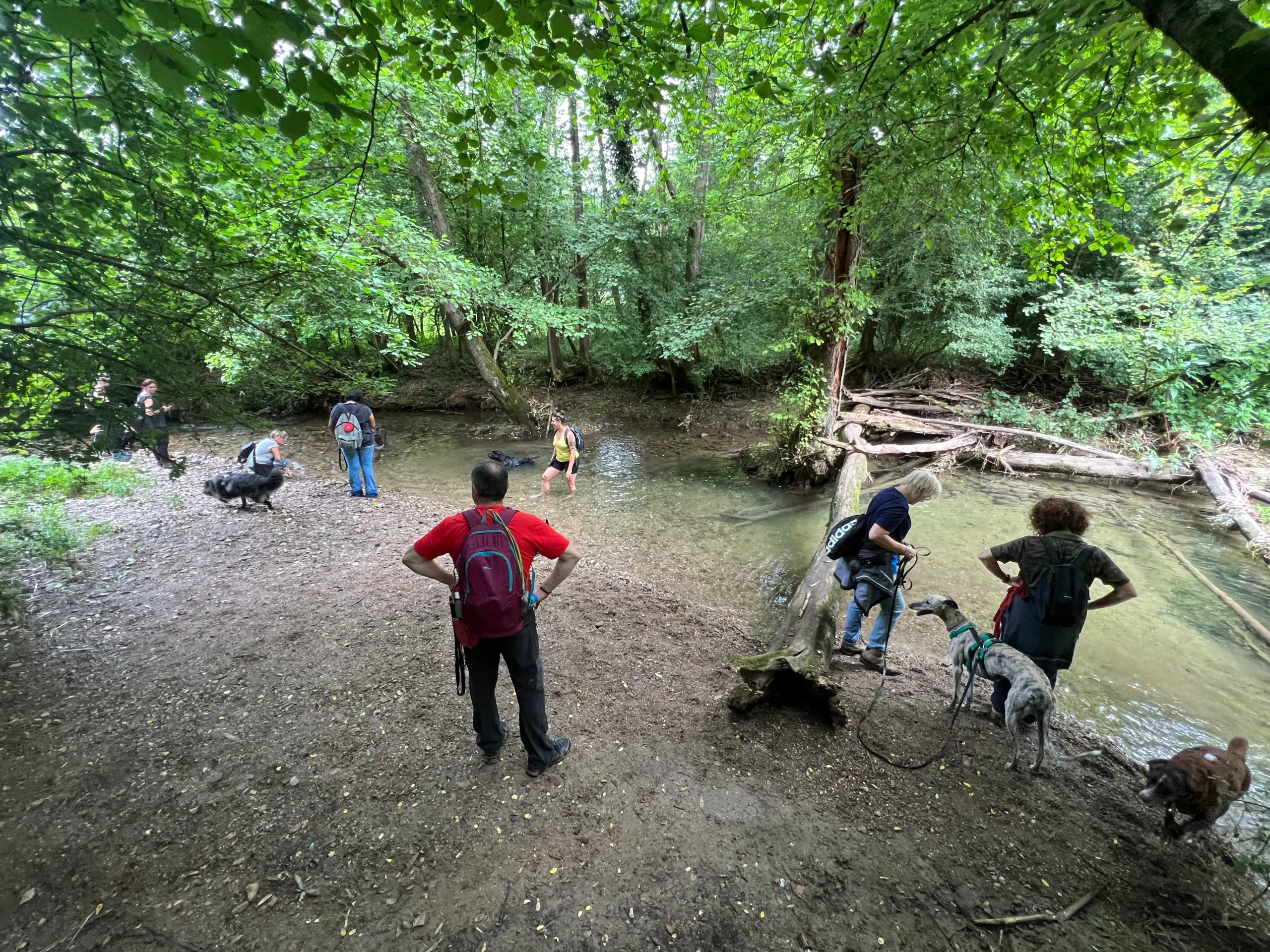 Persone e cani lungo il torrente