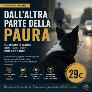 Webinar: Dall’altra parte della paura - Guardare la paura con i suoi occhi, non con i tuoi